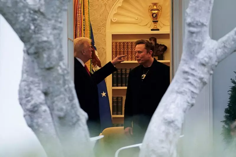 De aliados a rivais: a trajetória turbulenta entre Elon Musk e Donald Trump