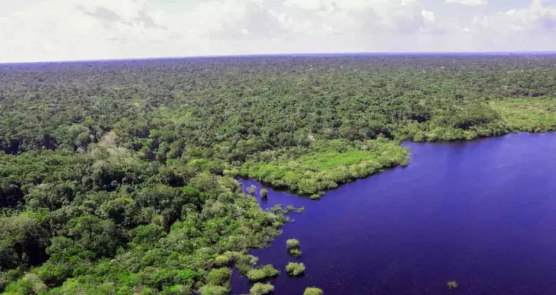 Dell e Microsoft: Como gigantes da tecnologia estão impulsionando a inclusão digital na Amazônia