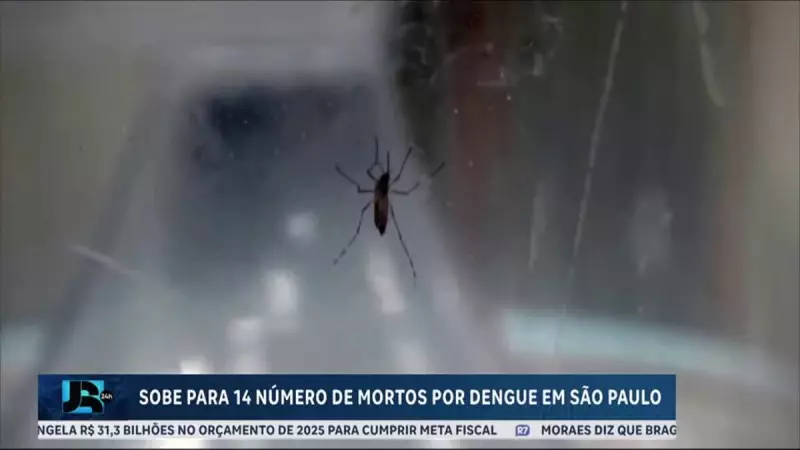 Dengue em São Paulo: Número de mortos sobe para 14 em 2025 | Alerta sanitário