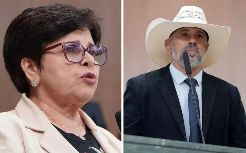 Deputada é ofendida após declarar que gosta de namorar jovens – Assista ao vídeo