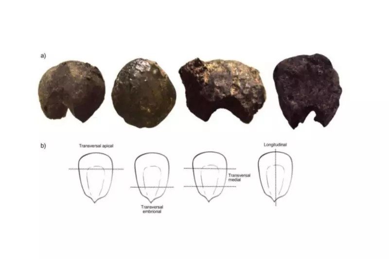 Descobertas arqueológicas revelam segredos da vida dos Guaranis antes da colonização