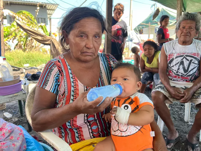 Desmatamento e garimpo ilegal: cidades da Amazônia Legal têm os piores índices de qualidade de vida