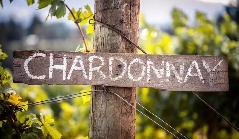 Dia da Chardonnay: 5 vinhos argentinos elegantes para celebrar