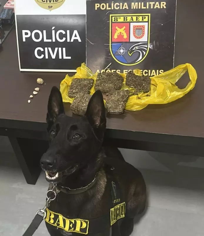 Dois homens são presos em flagrante por tráfico de drogas em Pirapozinho