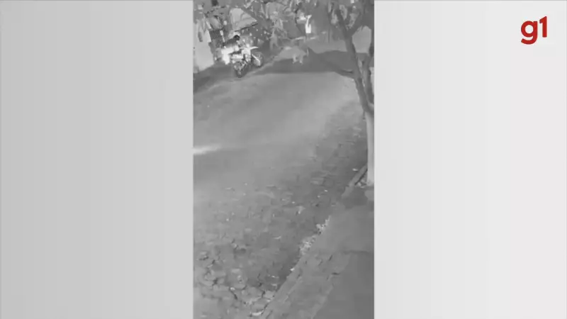 Dupla é presa em Bauru após roubos de motos: veja como agiam os criminosos