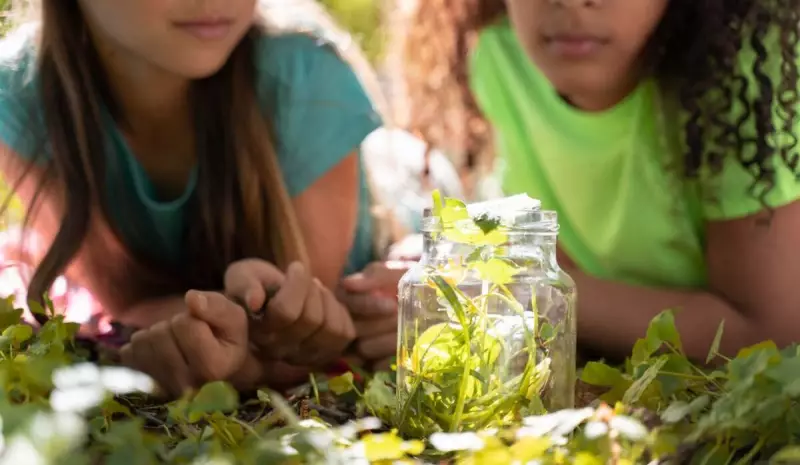 Educação Ambiental na Infância: Como Formar Cidadãos Conscientes para um Futuro Sustentável