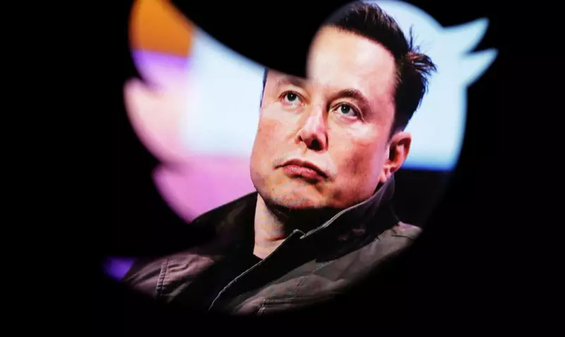 Elon Musk e o Uso de Drogas: Revelações Chocantes Durante o Governo Trump