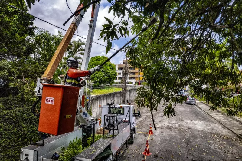 Equatorial Maranhão alerta: como podar árvores com segurança e evitar acidentes
