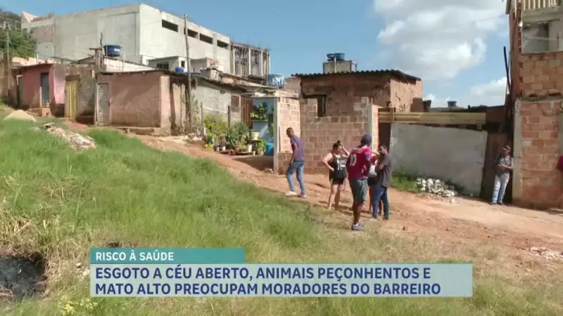 Esgoto a céu aberto e animais peçonhentos assustam moradores de bairro em BH