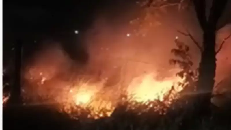 Feminicídio chocante: Mãe e bebê carbonizados em Mato Grosso do Sul; suspeito preso
