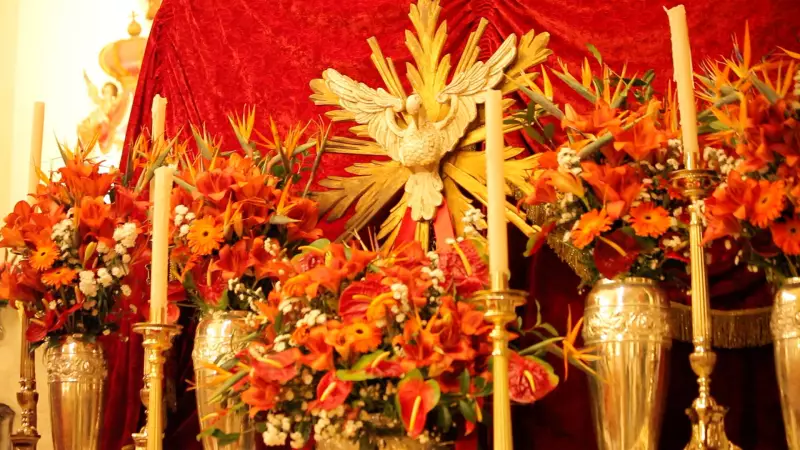 Festa do Divino Espírito Santo 2025 em Mogi das Cruzes: confira a programação completa!