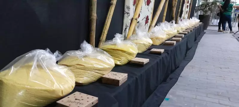 Festival da Mandioca 2025: Concurso vai eleger a melhor farinha de Oriximiná - Inscrições abertas!