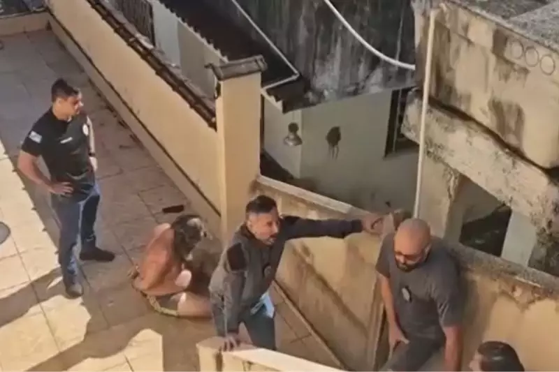 Filhos dormem com cadáver do pai por 6 meses: caso chocante de psicopatia em Santa Catarina