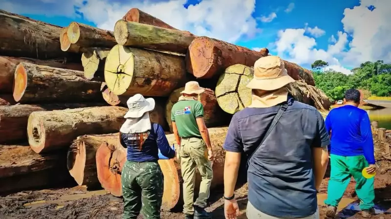 Fiscalização em Juruti apreende mais de 4 mil m³ de madeira ilegal: ação combate desmatamento na Amazônia