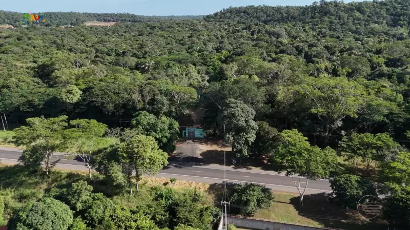 Flona do Piauí: Um Santuário de Biodiversidade com Espécies Ameaçadas de Extinção