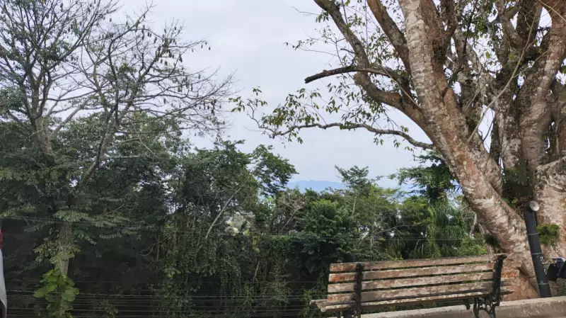 Florianópolis registra a temperatura mais baixa do ano: veja os detalhes!