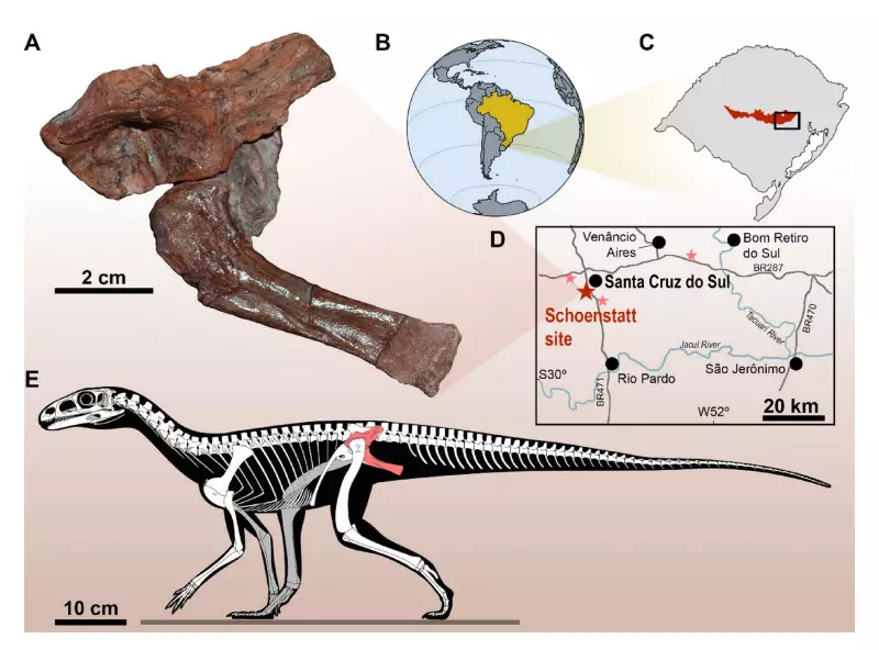 Fóssil descoberto no RS revela segredos da origem dos dinossauros