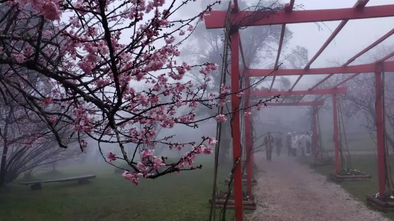 Frente fria avança no Vale do Paraíba: temperaturas podem chegar a 7°C nesta sexta