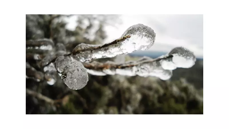 Frente fria no Brasil: confira as cidades que podem ter neve nos próximos dias