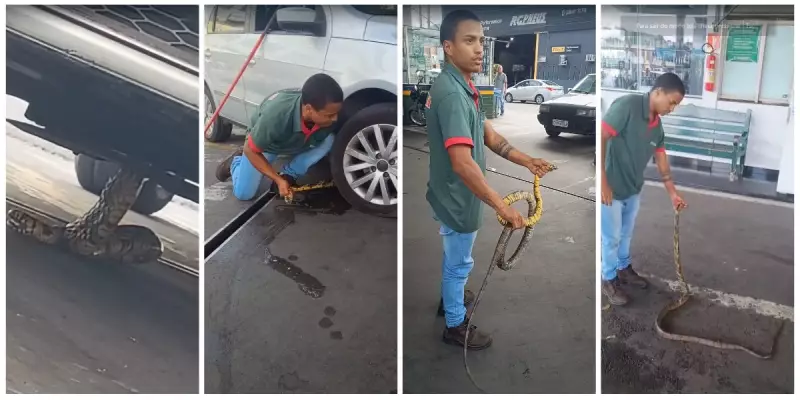 Frentista retira cobra de 2 metros de dentro de carro em Coronel Fabriciano - MG
