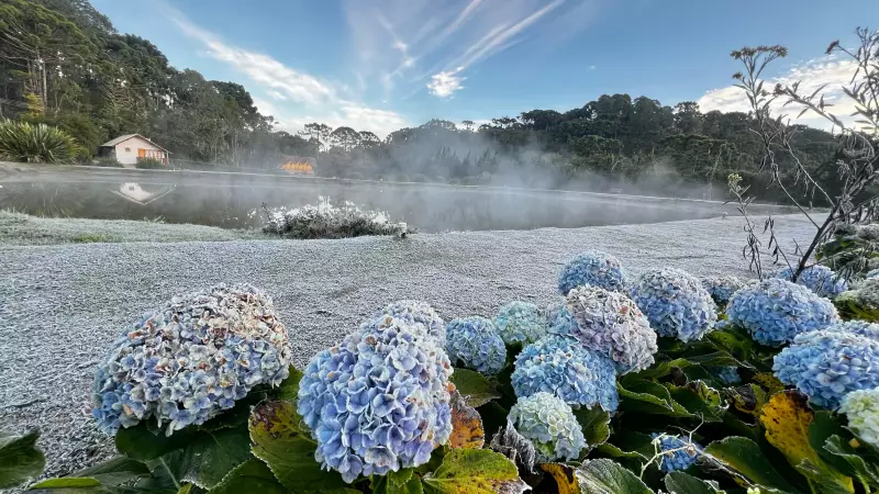Frio intenso no Sul de Minas: sensação térmica abaixo de 0°C e previsão para o fim de semana