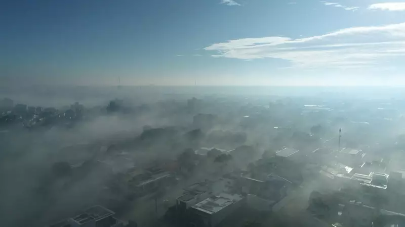 Fumaça de queimada de café toma conta de cidades no ES; veja vídeo impressionante