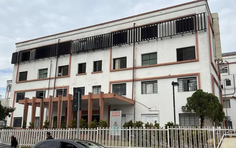 Funcionária de escola municipal é picada por escorpião em Sorocaba: saiba como se proteger
