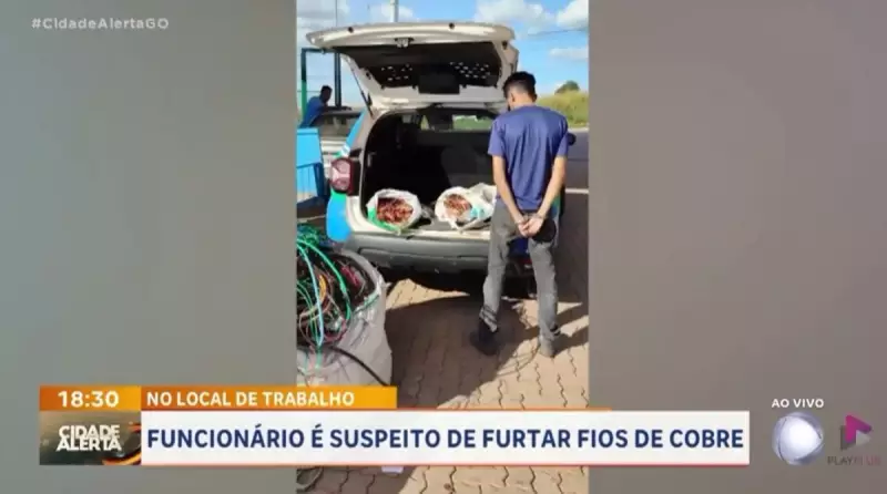 Funcionário é preso após furtar 250 kg de fios de cobre de empresa em Goiás