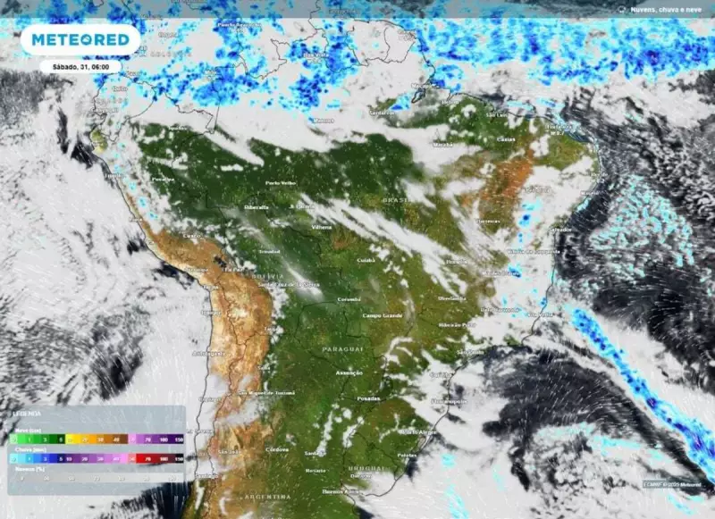 Geadas e temperaturas de até 3°C marcam o clima neste sábado (31) no Brasil