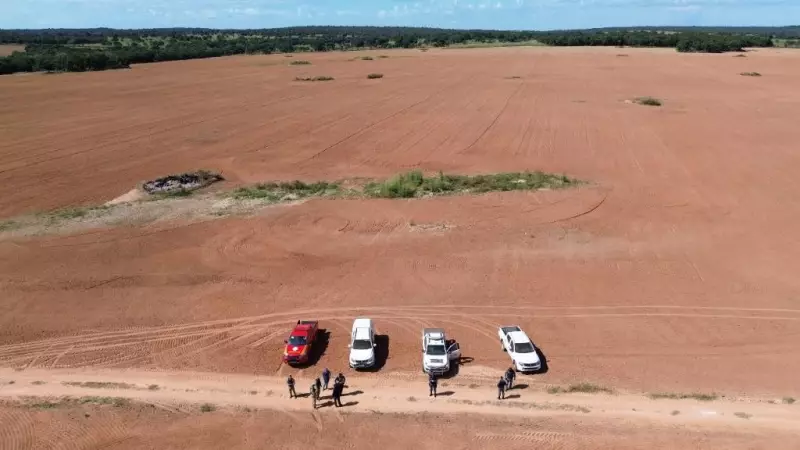 Gerente de fazenda no Pantanal é preso por queimada ilegal de madeira em MT