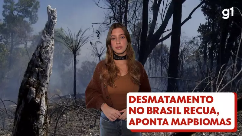 Governo Brasileiro Reage Após Exclusão da UE de Lista de Baixo Risco de Desmatamento: 'Decisão Unilateral'