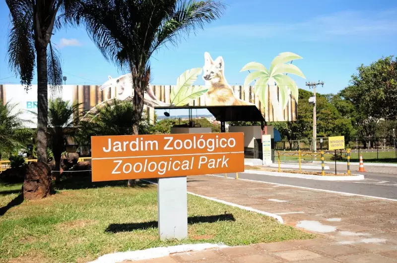 Gripe Aviária em Brasília: Zoológico Fecha Após Morte de Aves com Suspeita da Doença