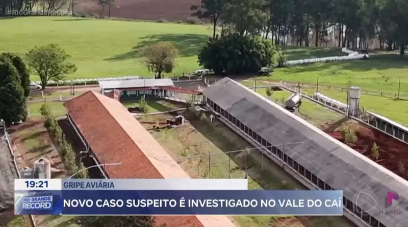 Gripe Aviária em Capela de Santana: Novo Caso Suspeito é Investigado no RS