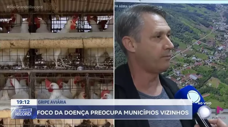 Gripe Aviária em Tupandi: Alerta Econômico e Medidas de Controle no RS