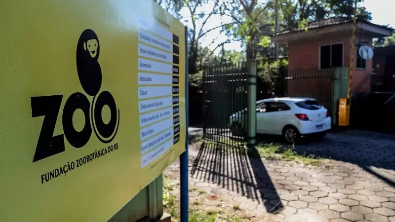 Gripe Aviária: Justiça cobra explicações urgentes sobre mortes de animais em zoológico do RS