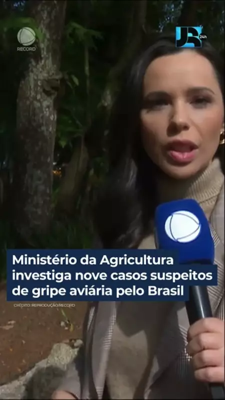 Gripe Aviária no Brasil: Ministério da Agricultura investiga 9 casos suspeitos