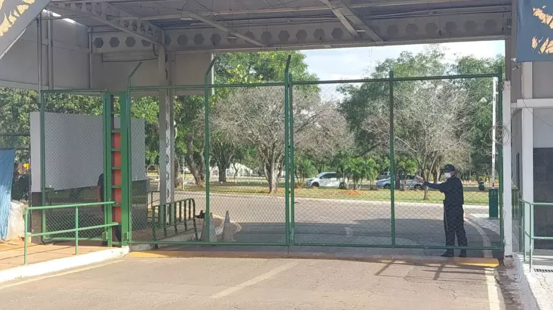 Gripe aviária no DF: Ministério da Agricultura investiga morte de ave no zoológico