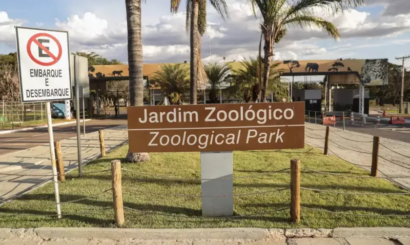 Gripe Aviária no DF: Zoo sob suspeita e vigilância reforçada em aves