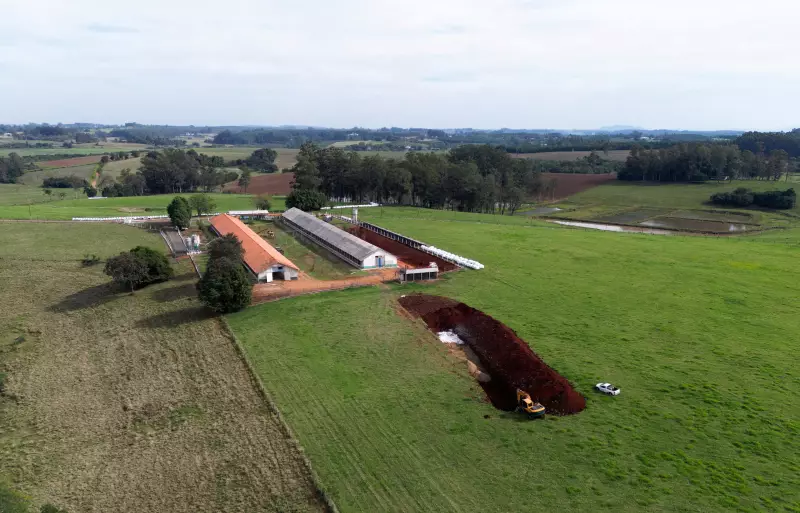 Gripe Aviária no RS: Cepa Identificada em Granja é a Mesma do Taim em 2023