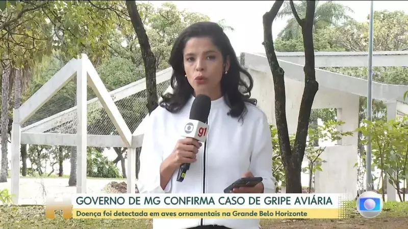 Gripe aviária no RS: Ministro da Agricultura afirma que foco foi contido e pede calma
