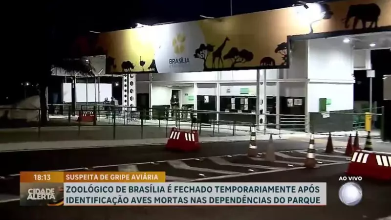 Gripe Aviária no Zoológico de Brasília: Governo do DF Garante Estar Preparado para Enfrentar a Situação