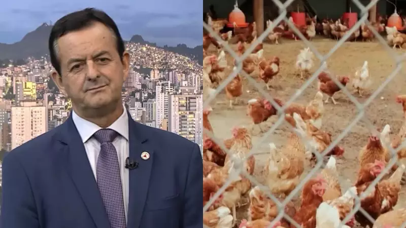 Gripe Aviária Pode Causar Prejuízo de R$ 1 Bilhão aos Cofres de Minas Gerais
