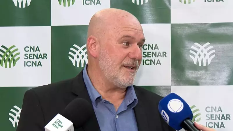 Gripe Aviária: Preço do Frango Não Deve Cair e Brasil Retomará Exportações em Breve