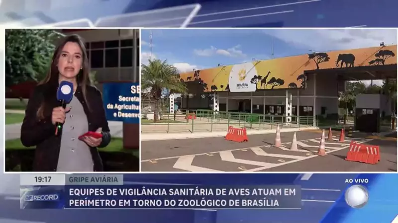 Gripe Aviária: Vigilância Sanitária Intensifica Monitoramento no Entorno do Zoológico de Brasília