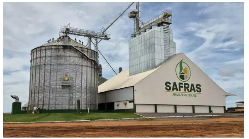 Grupo Safras busca recuperação e paz financeira no mercado