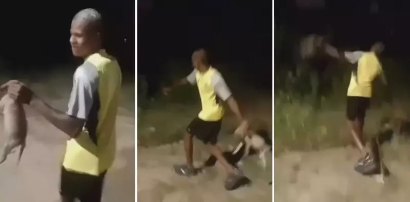 Homem arremessa filhote de cachorro em matagal no RJ: polícia busca suspeito