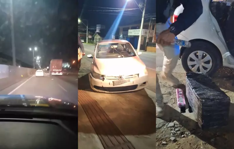 Homem é atacado por Pitbull após acidente na BR-101 em SC; veja detalhes