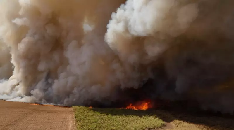 Homem é condenado a 8 anos de prisão por incendiar áreas rurais no interior de SP