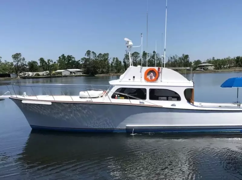 Homem é condenado por matar golfinhos com tiros e iscas envenenadas na Flórida