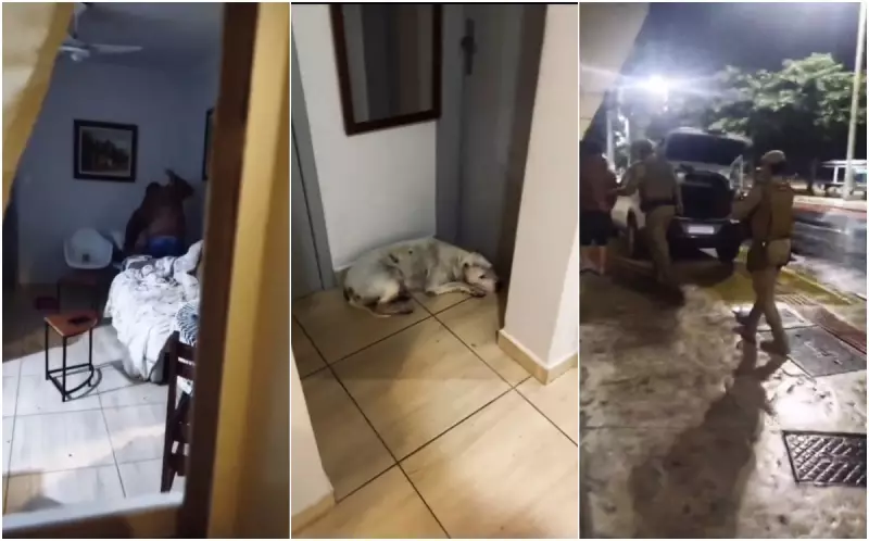 Homem é preso por maus-tratos a cães em Balneário Camboriú: veja o vídeo do resgate